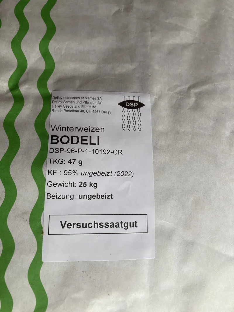 Der Weizen wird gesät – Worauf kommt es an?