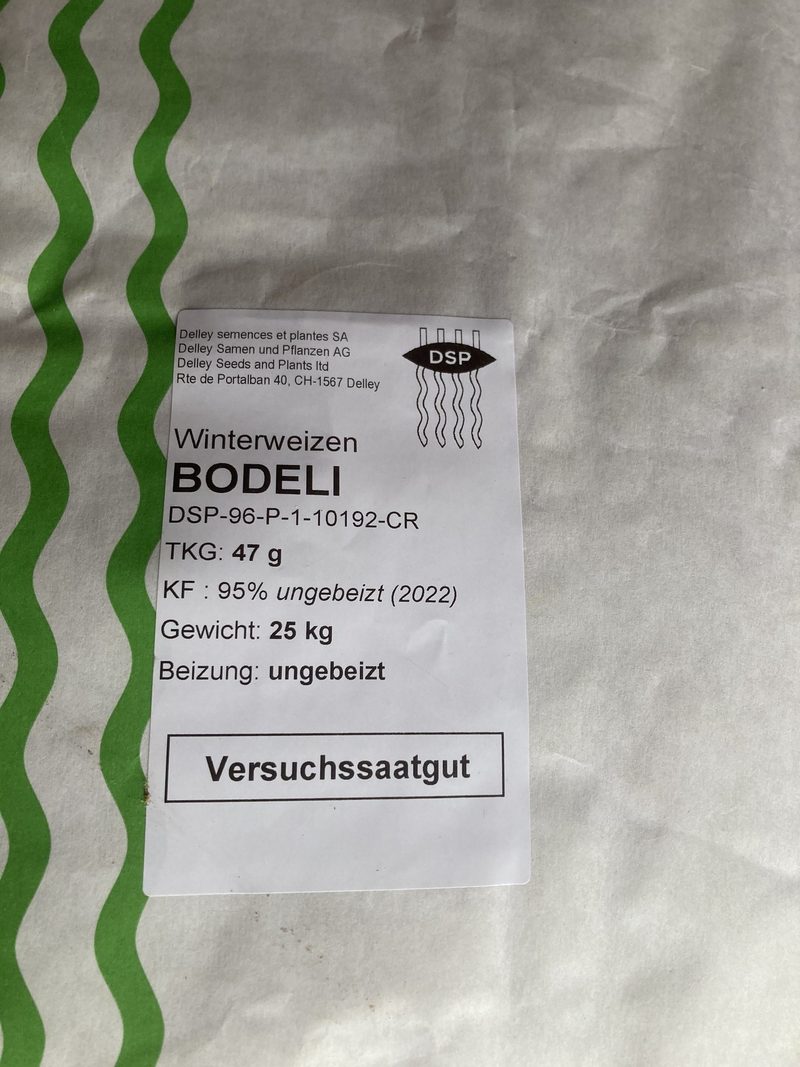 Der Weizen wird gesät – Worauf kommt es an?