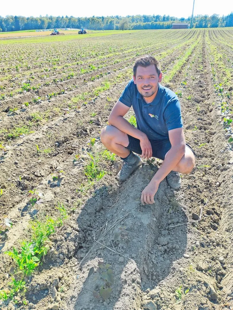 Roman Dünner bei der Feldkontrolle. Das Unkraut ist in dieser Saison schwer zu bändigen – und schwierig zu bekämpfen.