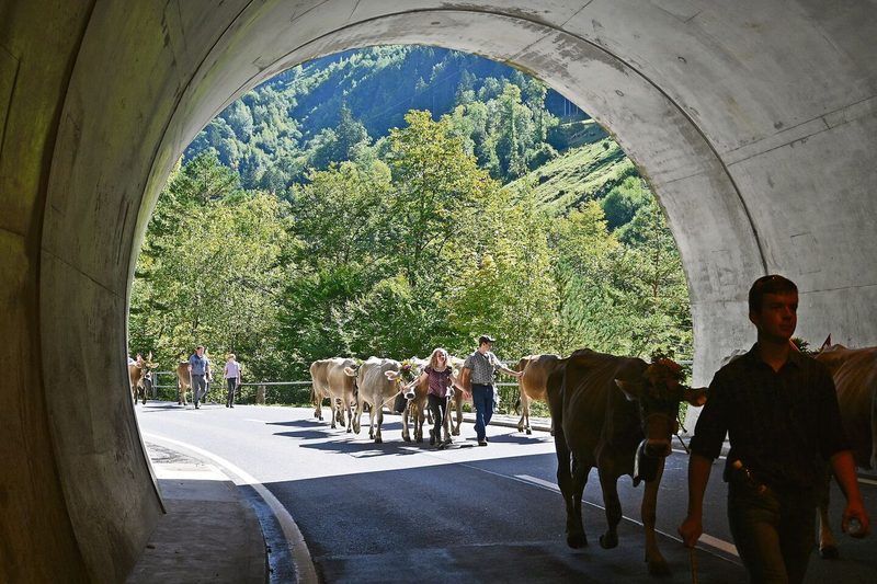 Im Tunnel läuteten die vielen Treicheln besonders eindrücklich und laut. Es tönte fast wie ein Donnergrollen.
