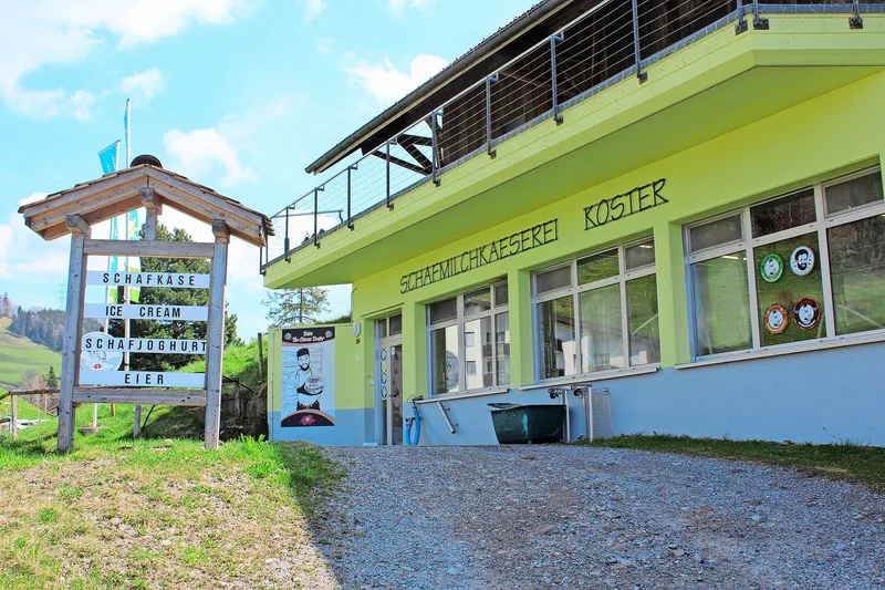 Die 1990 gegründete Schafmilchkäserei Koster GmbH in Wald verarbeitet rund 180 000 kg Schafmilch und 30 000 kg Kuh-Büffelmilch im Jahr.