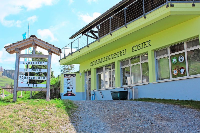 Die 1990 gegründete Schafmilchkäserei Koster GmbH in Wald verarbeitet rund 180 000 kg Schafmilch und 30 000 kg Kuh-Büffelmilch im Jahr.