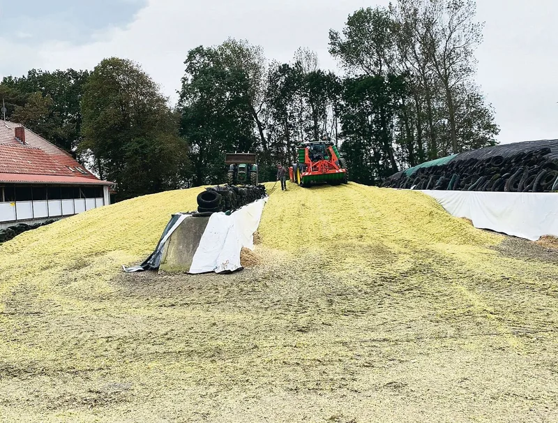 Um mehr Lagerkapazität zu schaffen, wurden die beiden Maissilos hinter der Mauer kurzerhand zusammengelegt.