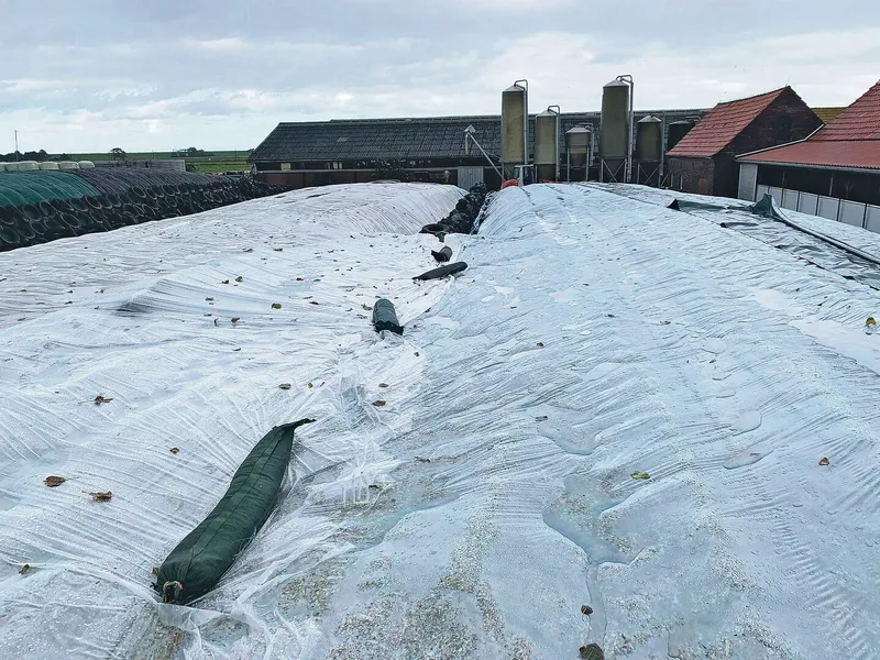 Über Nacht hatte es geregnet. Trotzdem liess sich die eigentliche Silofolie am Tag darauf gut über das Silo ziehen und ausbreiten.