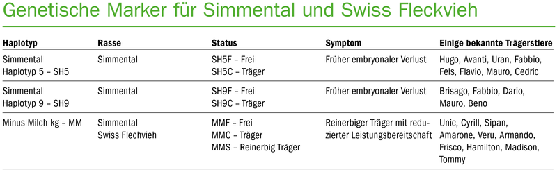 Bekannte Simmentaler- und Swiss-Fleckvieh-Stiere sind Träger unterwünschter Haplotypen