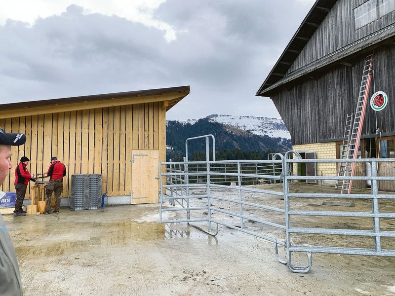 Der vergrösserte Laufhof bei der Scheune. Links der Holzverschlag für den Gasballon.