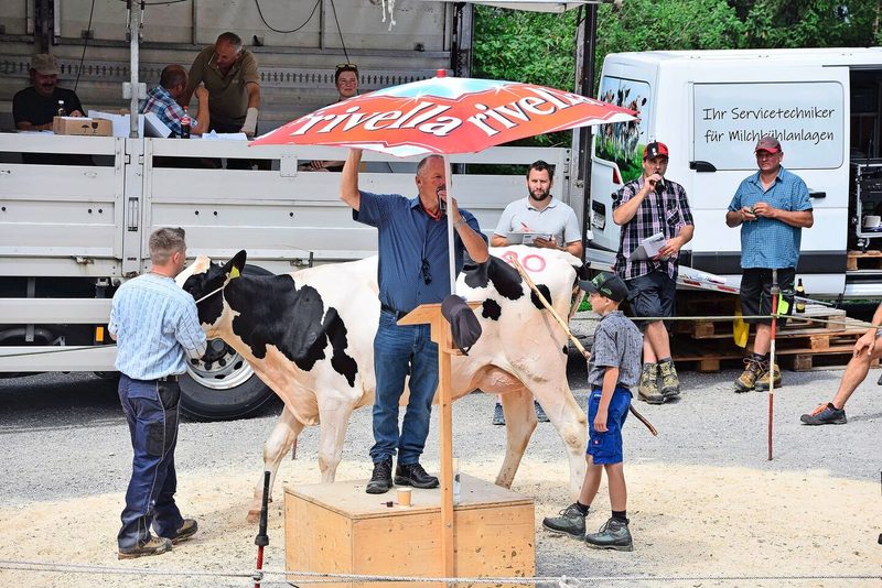Die Holsteinkuh Toohot Falter von Paul und Simon Wittwer, Horboden, löste den Preis von 4500 Franken.