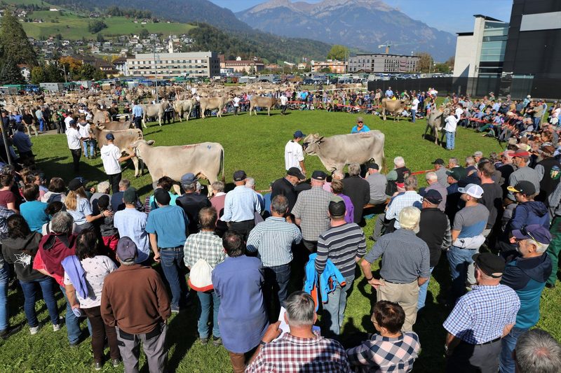 Österreicherin gewinnt in Sarnen