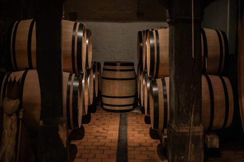 Janine Witzig: Winzerin fast wider Willen