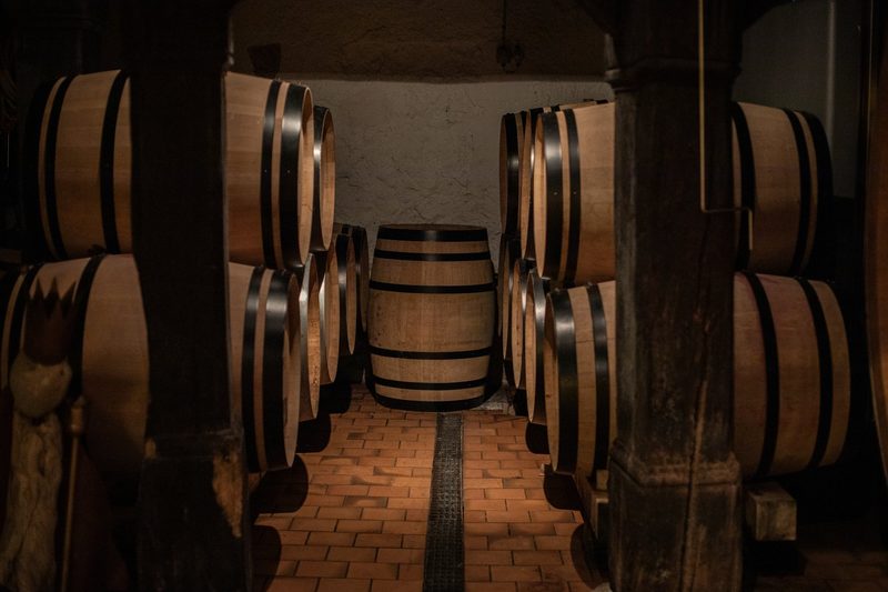 Janine Witzig: Winzerin fast wider Willen