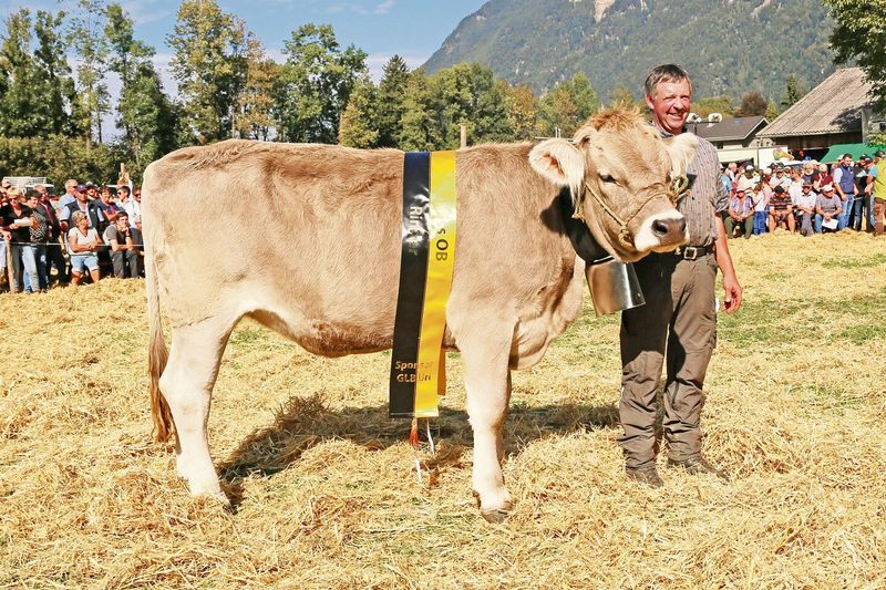 Anakin Silber, das schönste OB-Jungtier, gehört Toni und Heidi Brand-Inderbitzin, Spiringen.
