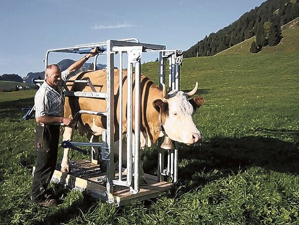 2009 holte Studer die Trophäe mit dem Klauenpflege-, Behandlungs- und Transportstand (KBT).