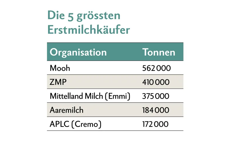 Tabelle mit den 5 grössten Erstmilchkäufern Mooh, ZMP, Mittelland Milch, Aaremilch und APLC.