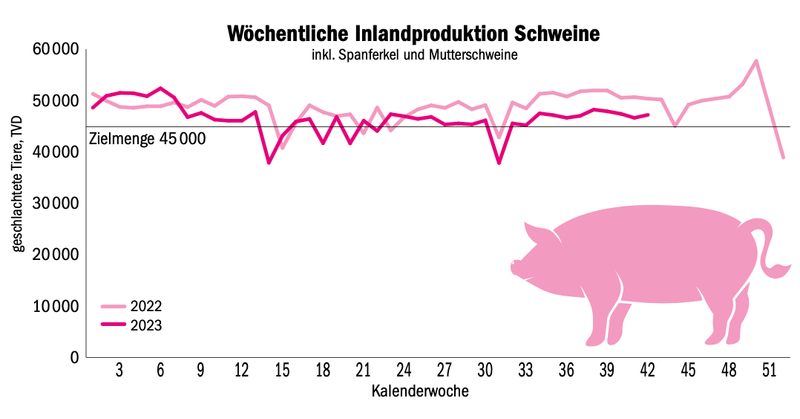 Die Schweineproduktion ist weiterhin zu hoch