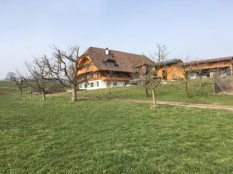 Bei Roger und Marina Staub wächst Mais – in grün und lila