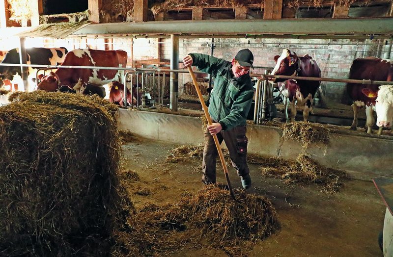 Young Farmer Othmar Gut im luzernischen Römerswil setzt auf Milchkühe