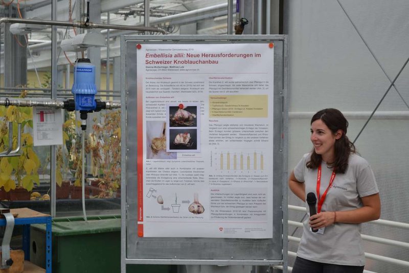 Forschung im Gemüsebau: Das läuft bei Agroscope