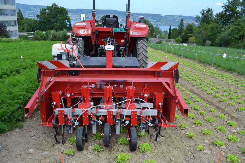 Forschung im Gemüsebau: Das läuft bei Agroscope