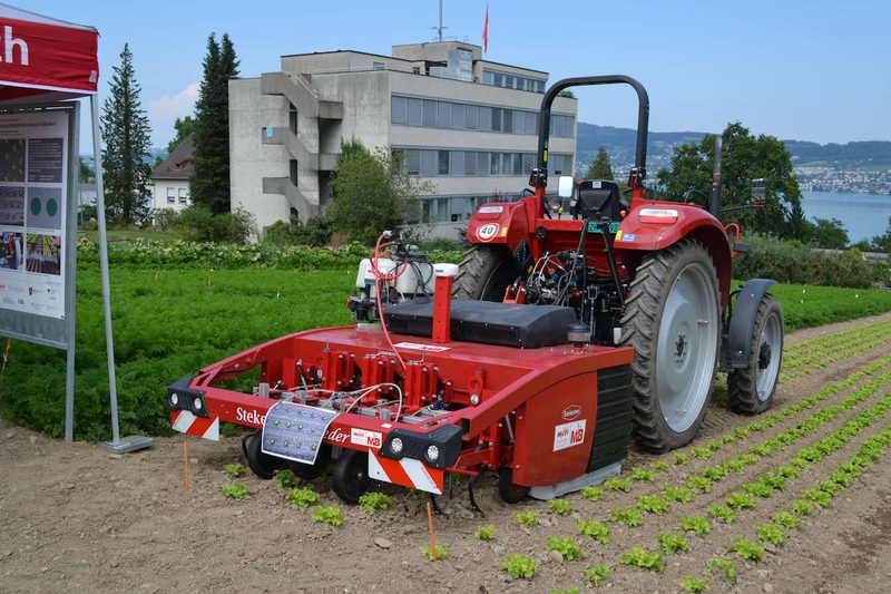 Forschung im Gemüsebau: Das läuft bei Agroscope