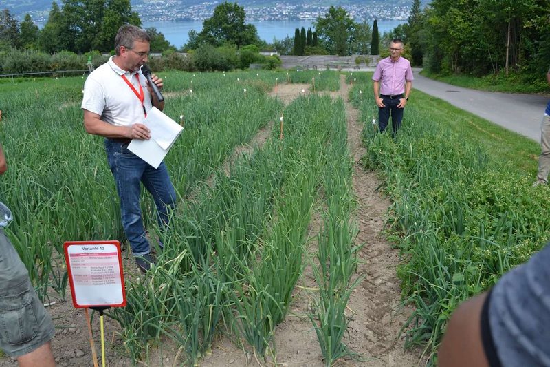 Forschung im Gemüsebau: Das läuft bei Agroscope