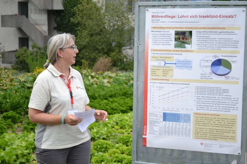 Forschung im Gemüsebau: Das läuft bei Agroscope