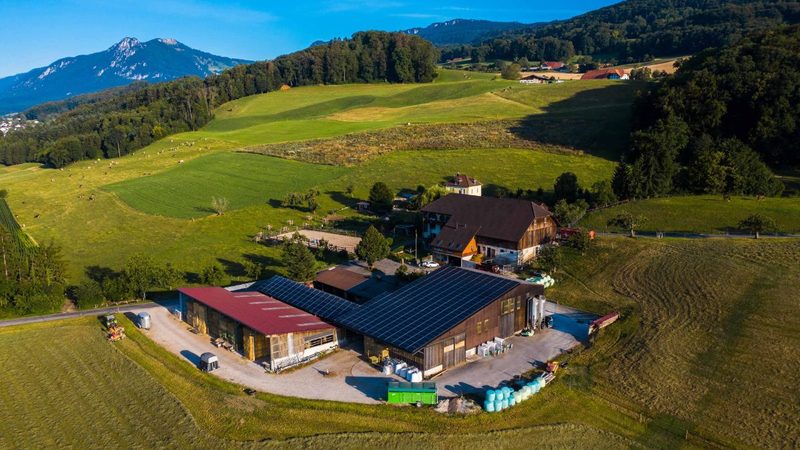 Ihre Lieblingskuh heisst Tansania: Michelle Fahrni liebt die Landwirtschaft, jodelt «für ihr Leben gern» und ist Captain auf dem Fussballplatz