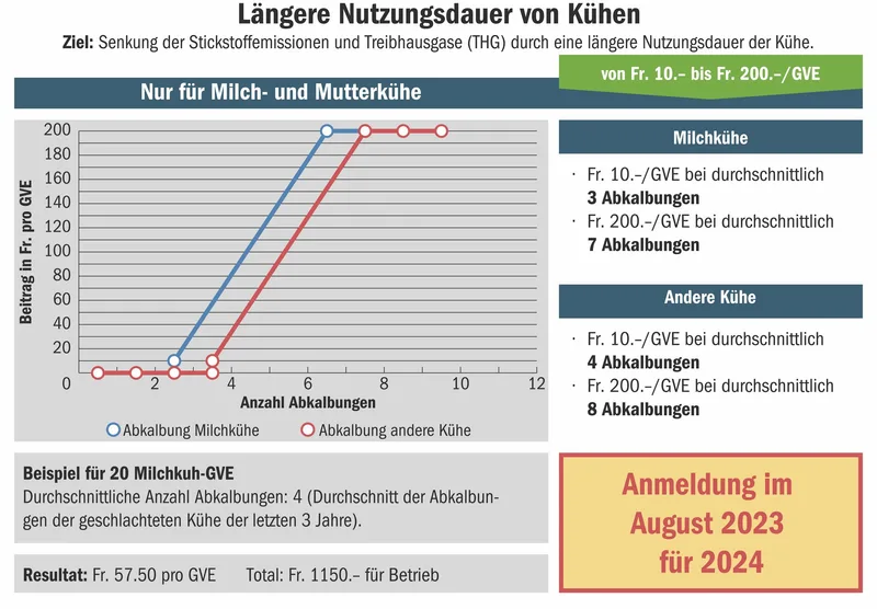 Kühe sollen länger Milch geben: Ab 2024 gibt es Beiträge für eine verlängerte Nutzungsdauer