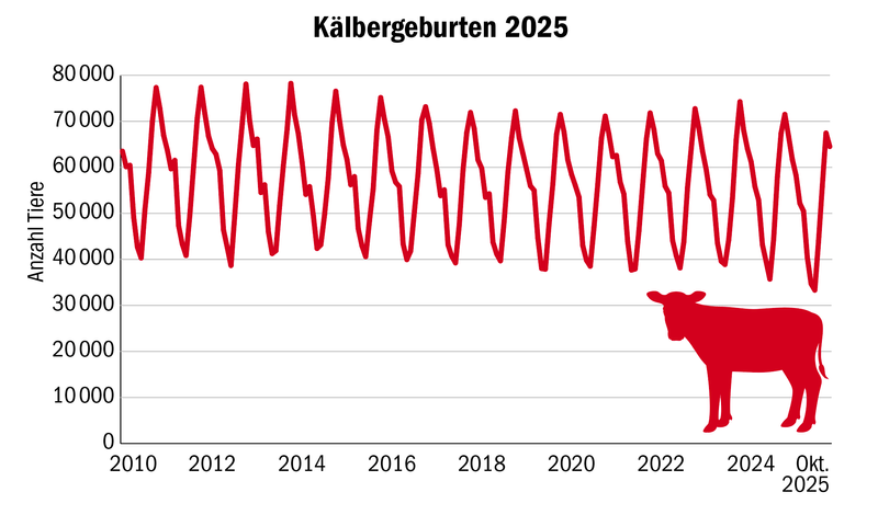 Der Viehvermarkter Anicom schaut auf eine mehrheitlich sehr erfreuliche Marktlage