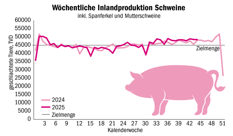 Der Viehvermarkter Anicom schaut auf eine mehrheitlich sehr erfreuliche Marktlage