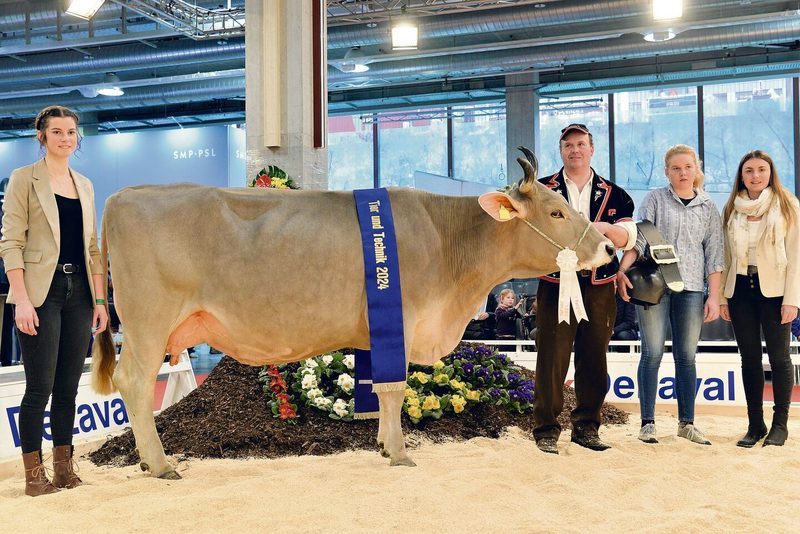 AHof-ob Rivaldo Tulpe wurde vom Urner Richter Toni Kempf an der OB-Schau der Tier & Technik zur Miss gekürt.