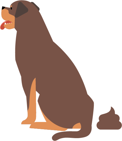 Raus mit dem Hund