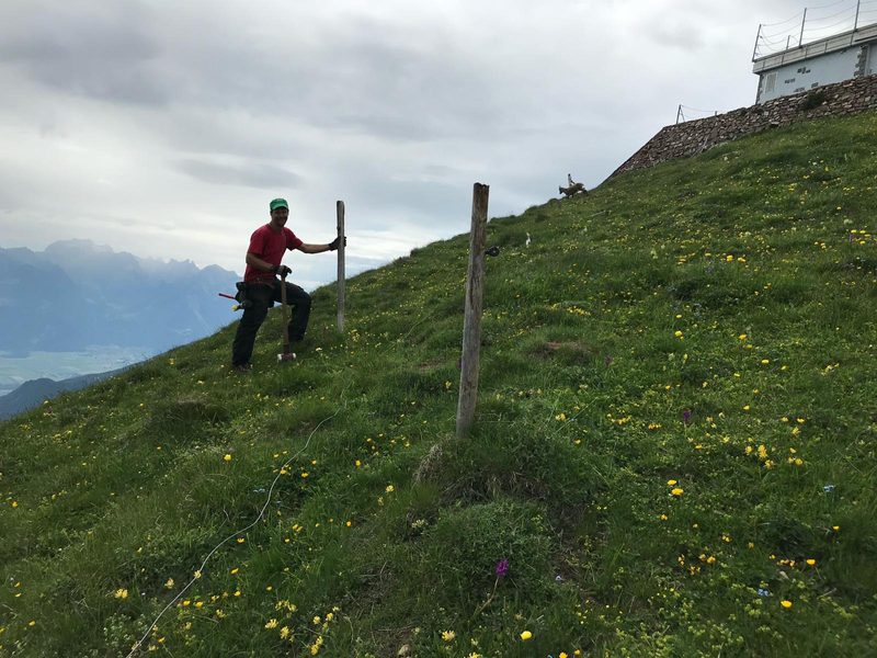 Selina Eberhard: Nach der Alp ist vor der Alp