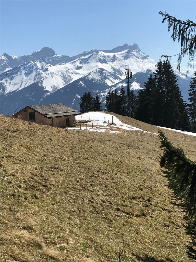 Selina Eberhard: Nach der Alp ist vor der Alp