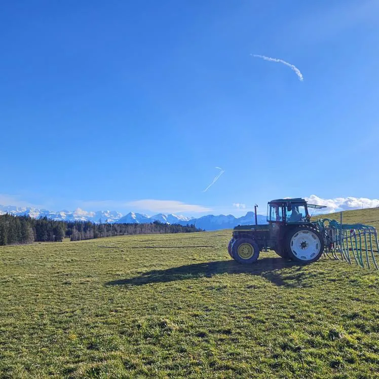 18 Grad im Februar: Was Bauern bei Gülle und Weiden jetzt beachten müssen