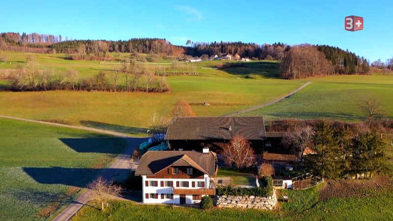 Othmar sucht eine tierliebe und spontane Partnerin
