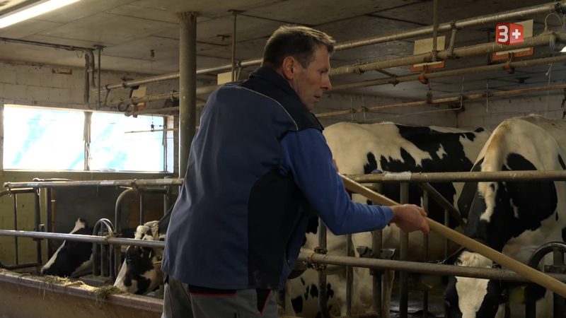 Othmar sucht eine tierliebe und spontane Partnerin