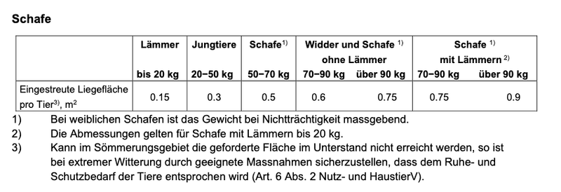 Schafe im Winter im Freien richtig halten und Meldungen vorbeugen