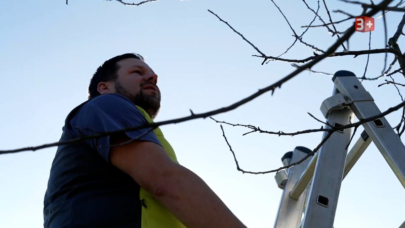 «Bauer, ledig, sucht...» Niklaus sucht eine unternehmungslustige Partnerin