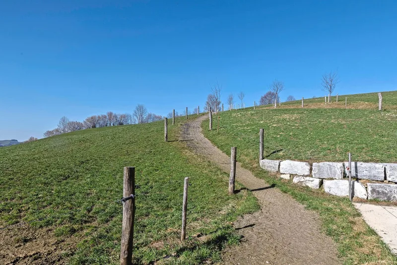 Beim Weideauftrieb verhindern Ecoraster Trittschäden.