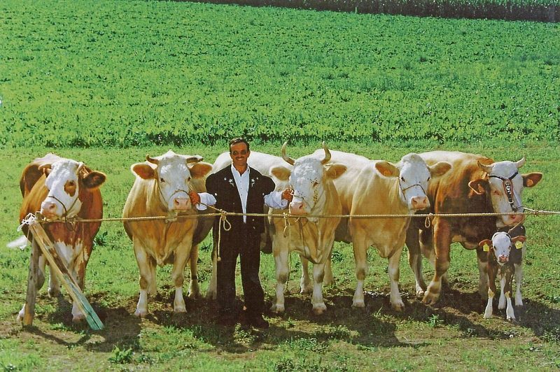 Ein grosser Höhepunkt: Im Jahr 2001 feierte man eine Kuhfamilie mit sechs Generationen im Stall. Mit der Stammkuh Koralle (links).