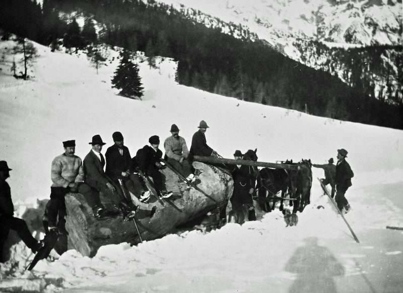 Wie vor 100 Jahren im Wald gearbeitet wurde – und wie das heute geht