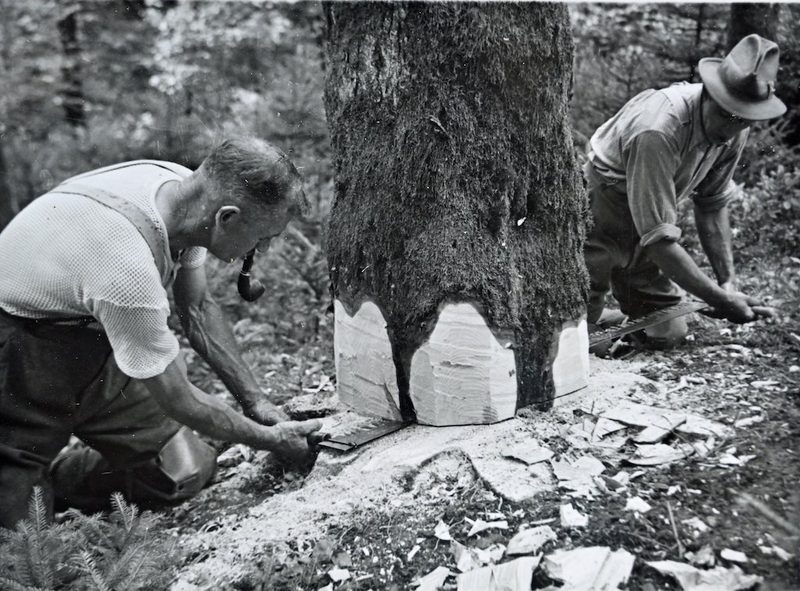Wie vor 100 Jahren im Wald gearbeitet wurde – und wie das heute geht