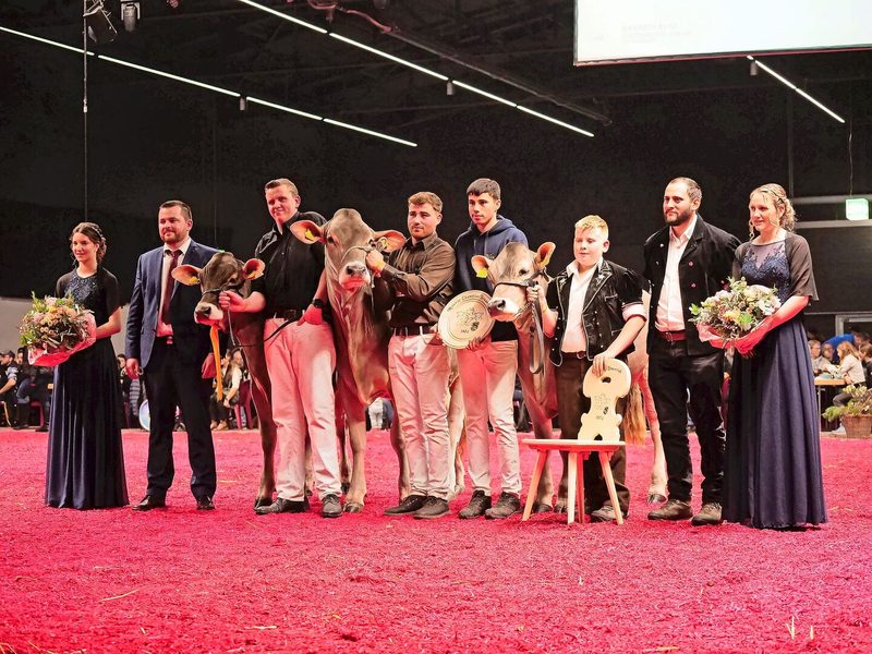 OB/BS Rinder: Mention: M&M`s Hank Santa; Reserve: Siegenthaler`s Barca Lavendel; Champion: Rasimus Rose (v.l.n.r.).