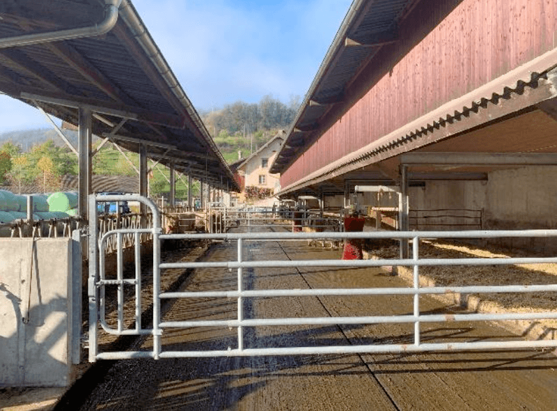 Zu verkaufen: Vielseitiger Landwirtschaftsbetrieb im Oberbaselbiet mit 22 ha Fläche