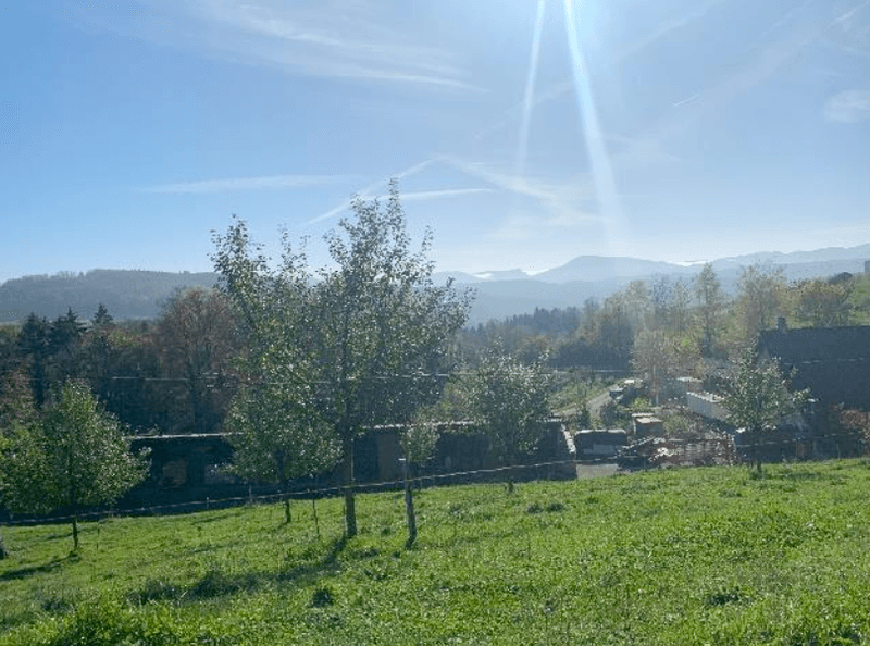 Zu verkaufen: Vielseitiger Landwirtschaftsbetrieb im Oberbaselbiet mit 22 ha Fläche