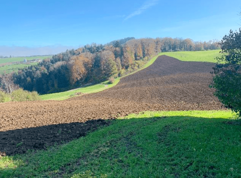 Zu verkaufen: Vielseitiger Landwirtschaftsbetrieb im Oberbaselbiet mit 22 ha Fläche