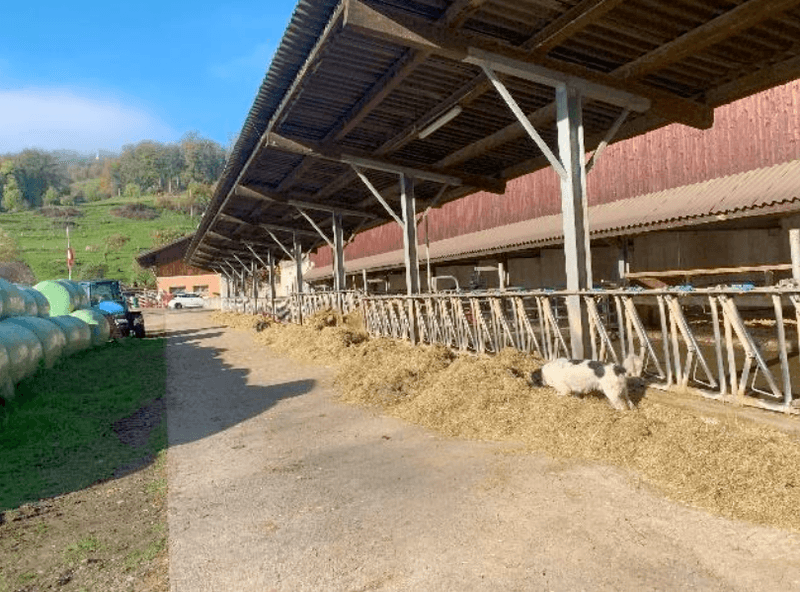 Zu verkaufen: Vielseitiger Landwirtschaftsbetrieb im Oberbaselbiet mit 22 ha Fläche