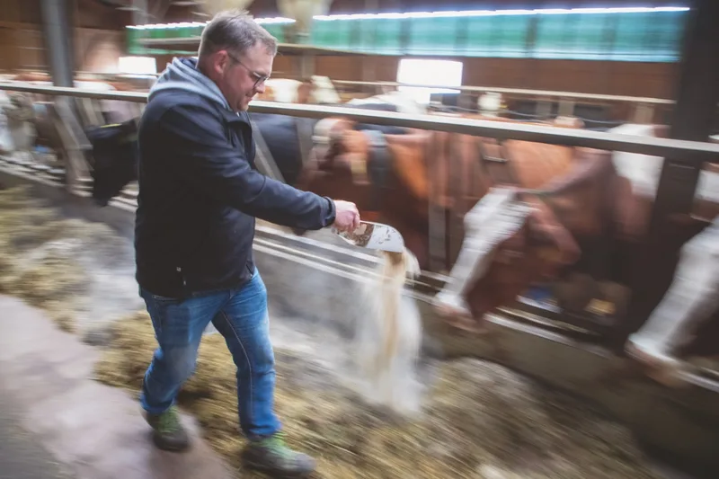 Ein wichtiger Betriebszweig ist für Roger Schlatter die Milchproduktion. Er hält 52 Milchkühe der Rasse Fleckvieh und Red Holstein. Bild: Gian Vaitl