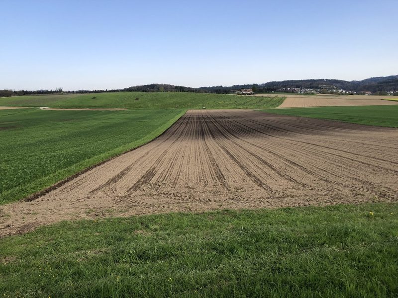 Karten wecken Interesse: «Vielleicht ist Düngung doch wie Pflanzenschutz»