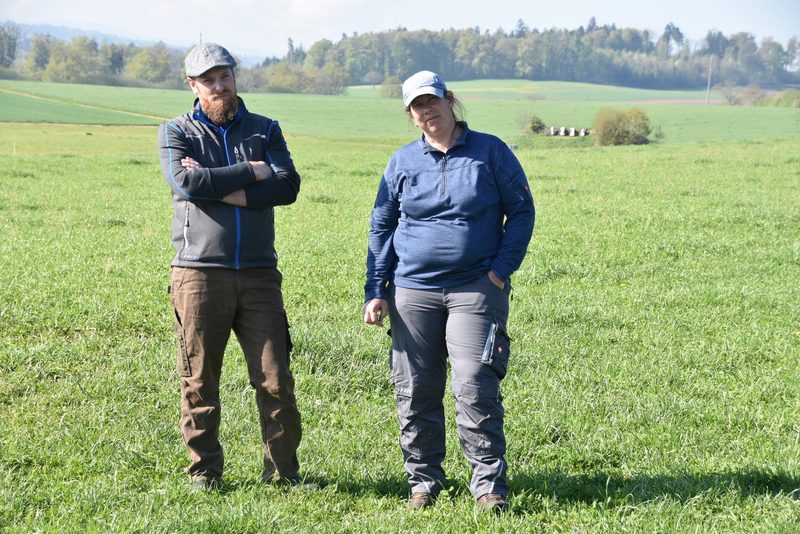 Vollweide statt Kraftfutter: So senkt ein Biobauer seine Kosten